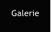 Galerie